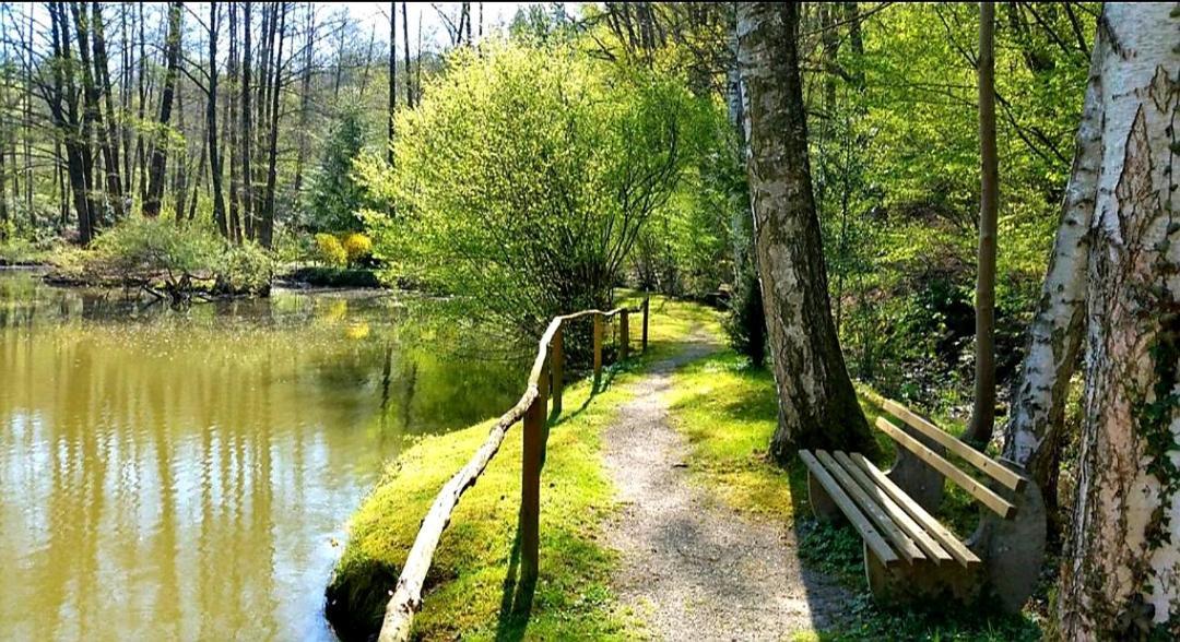 גרנסבאך Ferienwohnung Am Waldsee Mit Schwimmbad מראה חיצוני תמונה