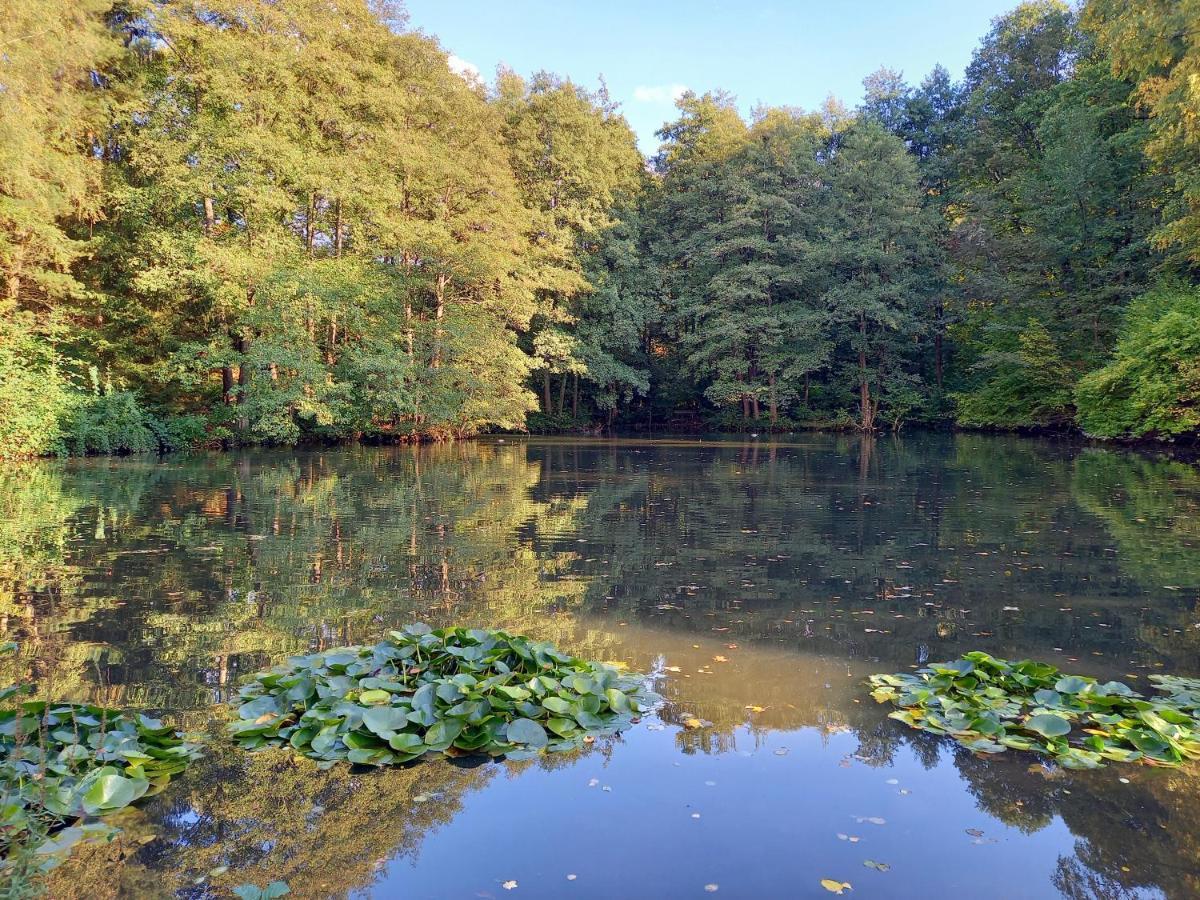 גרנסבאך Ferienwohnung Am Waldsee Mit Schwimmbad מראה חיצוני תמונה