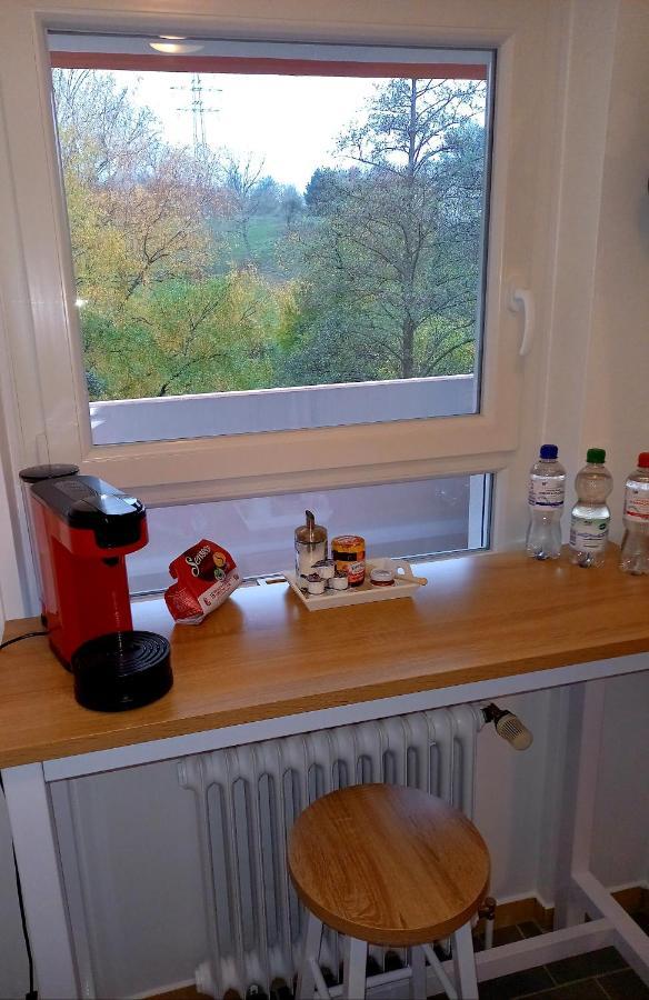 גרנסבאך Ferienwohnung Am Waldsee Mit Schwimmbad מראה חיצוני תמונה