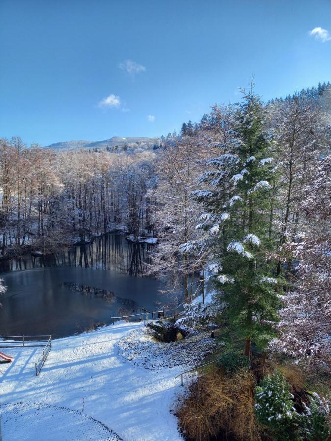 גרנסבאך Ferienwohnung Am Waldsee Mit Schwimmbad מראה חיצוני תמונה